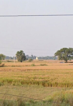  Plot For Sale in Mithapur