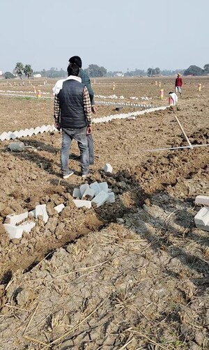 Plot Area in  Plot at Mithapur – for Sale