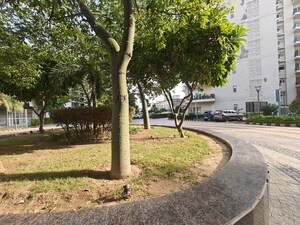 3 BHK Apartment – Garden View at Spaze Privy AT4, Sector 84 - for Rent
