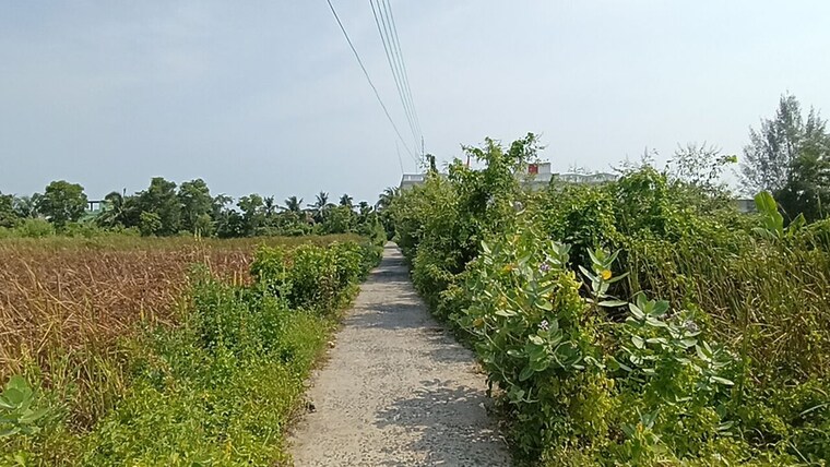 undefined, sreepally  15840 Sq.Ft. Plot In Sreepally Kolkata 10447053