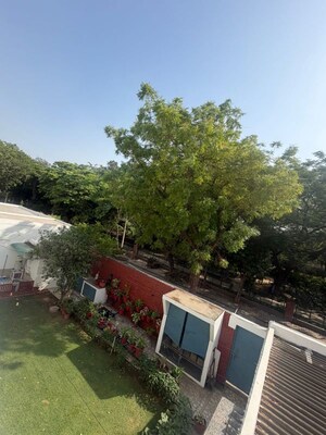 Balcony in 3.5 BHK Builder Floor at Sector 10a – for Rent