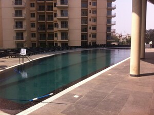 Swimming Pool in 3 BHK Apartment at Ireo Uptown, Sector 66 – for Rent