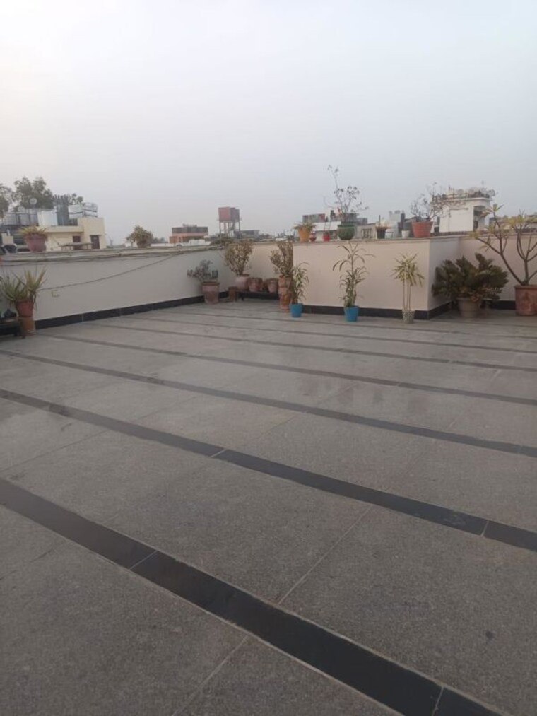  Parking, saket 3 Bedroom 250 Sq.Yd. Builder Floor In Saket Delhi 10448676