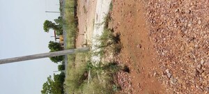 Plot Area in  Plot at Dhanauli – for Sale
