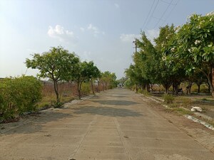 Plot Area in  Plot at Ringnodiya – for Sale