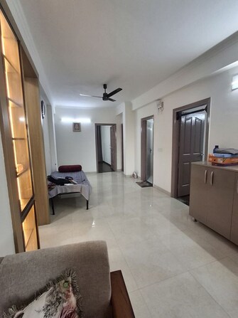 4 BHK 300 Sq.Yd. Builder Floor in BPTP Parkland Pride Phase 2