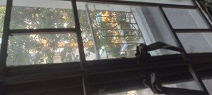 Furnished Amenities in 3 BHK Builder Floor at Ip Extension – for Rent