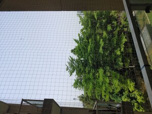 Balcony in 2.5 BHK Apartment at ASF Insignia Isle-De-Royale Residences, Gurgaon Faridabad Road – for Rent