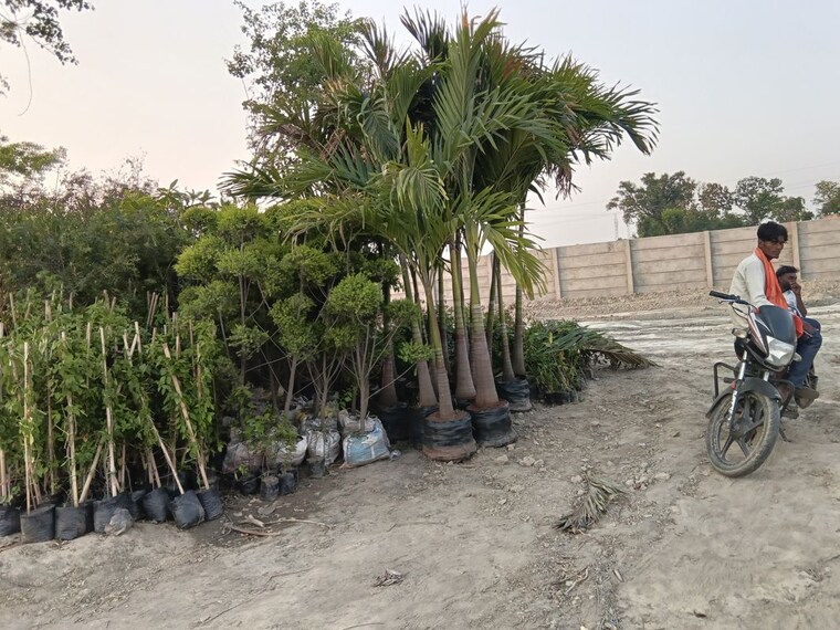 undefined, krishna-iscon-valley  1249 Sq.Ft. Plot In Gosainganj Lucknow 10449445