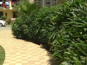 Balcony in 6+ BHK Independent House at Tirupati Garden Kavi Nagar, Kavi Nagar – for Sale