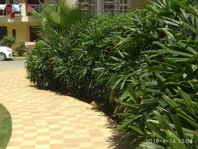 Balcony, tirupati-garden-kavi-nagar 6+ Bedroom 200 Sq.Yd. Independent House In Kavi Nagar Ghaziabad 10449755