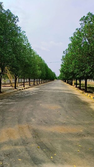  Plot – Exterior View View at SKH Echium, Whitefield - for Sale
