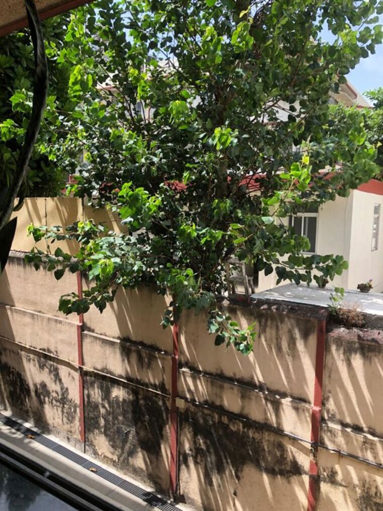 Balcony, samudra-gaurav 2.5 Bedroom 1350 Sq.Ft. Apartment In Worli Mumbai 10450417