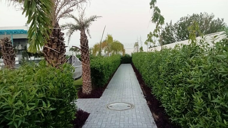 Garden, sector 148  1000 Sq.Ft. Plot In Sector 148 Noida 10450453