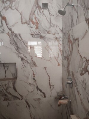 Bathroom in 2.5 BHK Apartment at Wadhwa Meadows, Khadakpada – for Sale