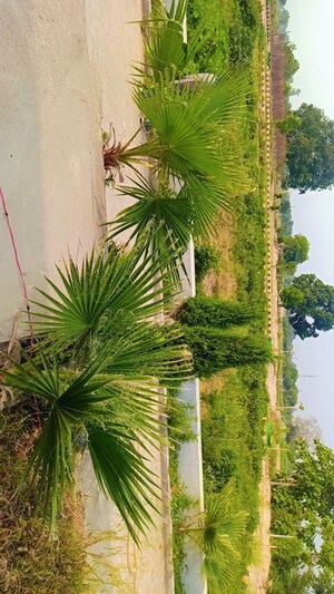  Plot – Garden View at Kalli Paschim - for Sale