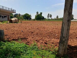 Plot Area in  Land at Abhi Homes, Devanahalli – for Rent