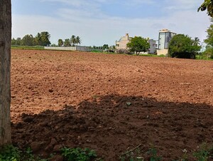 Plot Area in  Land at Abhi Homes, Devanahalli – for Rent