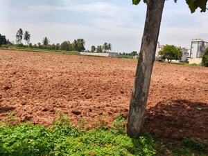 Plot Area in  Land at Abhi Homes, Devanahalli – for Rent
