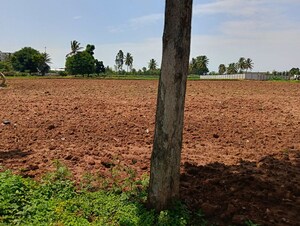 Plot Area in  Land at Abhi Homes, Devanahalli – for Rent