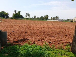 Plot Area in  Land at Abhi Homes, Devanahalli – for Rent