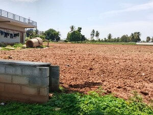  Land For Rent in Abhi Homes, Devanahalli
