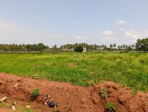 Plot Area in  Land at Devanahalli – for Rent