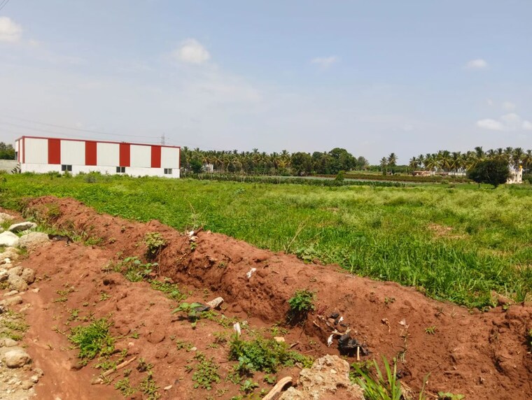 undefined, devanahalli Commercial Land 5 Acre In Devanahalli Bangalore 10451176