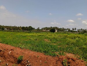 Plot Area in  Land at Devanahalli – for Rent