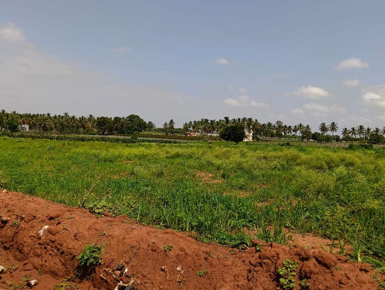 undefined, devanahalli Commercial Land 5 Acre In Devanahalli Bangalore 10451176