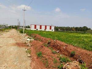 Plot Area in  Land at Devanahalli – for Rent