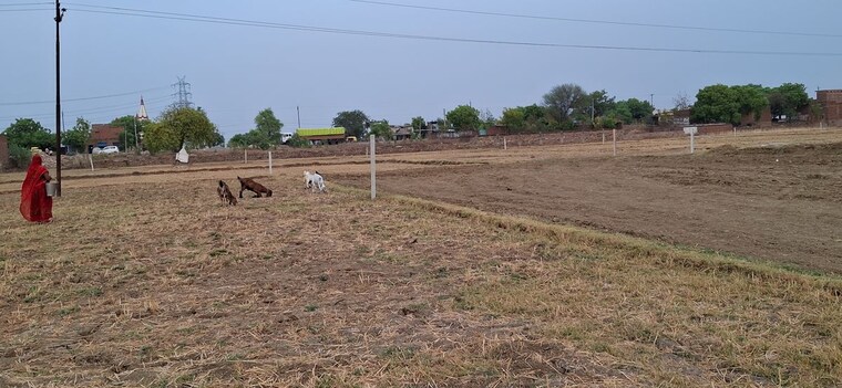 undefined, chunar  855 Sq.Ft. Plot In Chunar Varanasi 10451366
