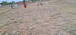 Plot Area in  Plot at Chunar – for Sale