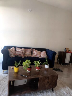 1 BHK Apartment For Rent in Sheth Irene, Malad West