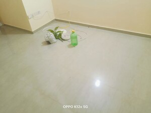 2 BHK Apartment For Rent in Pyramid Urban Homes 2, Sector 86