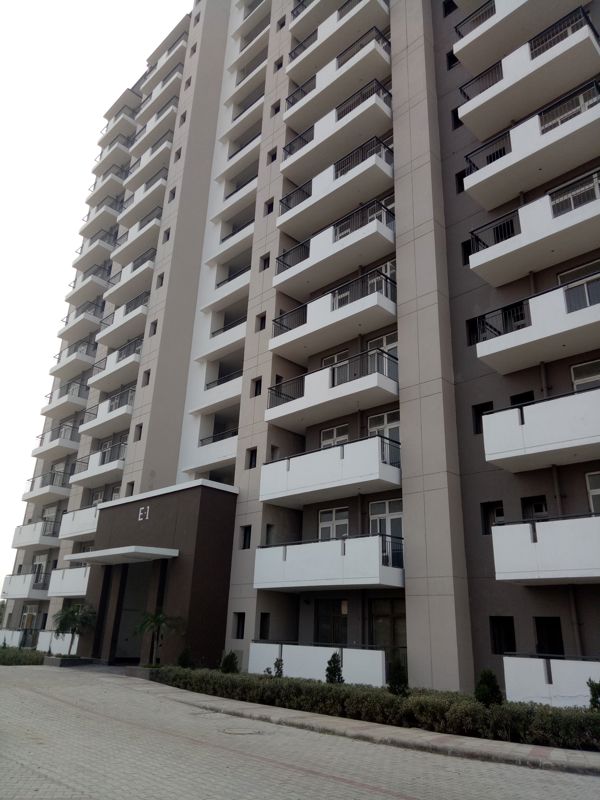 2.5 BHK 1550 Sq.Ft. Apartment in Corona Graceiux