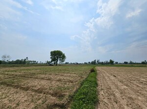  Plot For Sale in Dholera