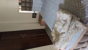 Bedroom in 3 BHK Builder Floor at Raj Nagar Sector 9 – for Sale