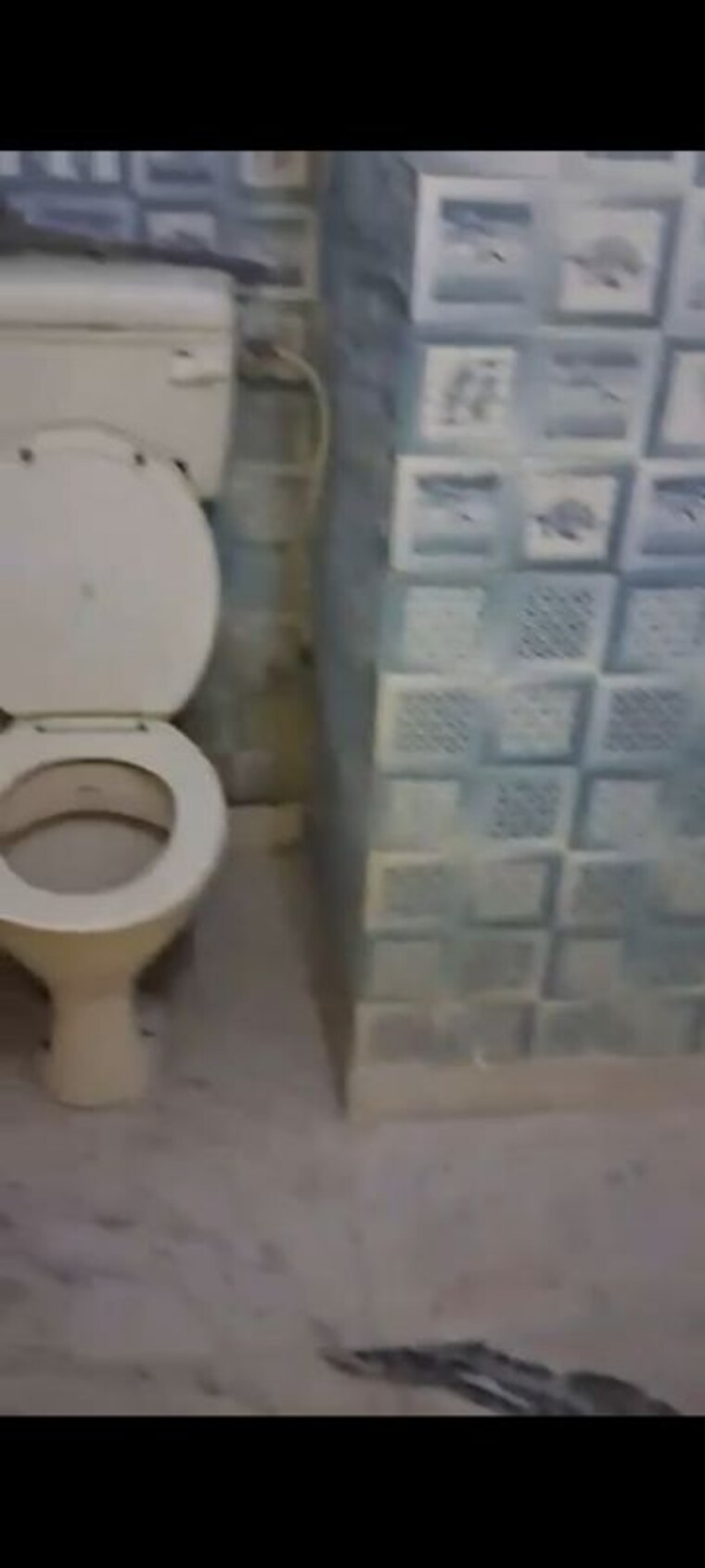 Bathroom, govindpuri 2 Bedroom 55 Sq.Yd. Builder Floor In Govindpuri Delhi 10452182