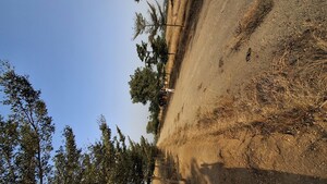 Plot Area in  Plot at Julkal – for Sale