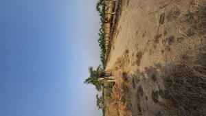  Plot – Exterior View View at Julkal - for Sale