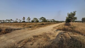 Plot Area in  Plot at Julkal – for Sale