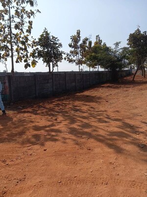   Plot at Ballampur – for Sale