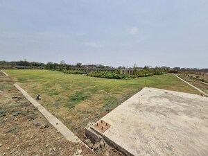 Plot Area in  Plot at Saddu – for Sale