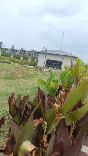  Plot – Exterior View View at Ved Vyas Puri -Phase 1 - for Sale