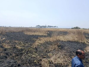 Plot Area in  Land at Jui – for Sale