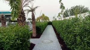  Plot – Garden View at Sector 148 - for Sale