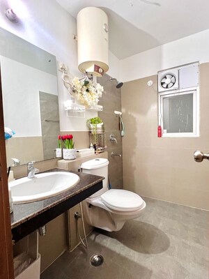 Washroom in 2 BHK Apartment at ATS Happy Trails, Sector 10 Greater Noida – for Rent