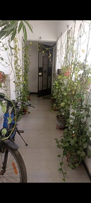 2 BHK Apartment For Rent in Wakad