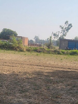 Plot Area in  Plot at Amethi – for Sale